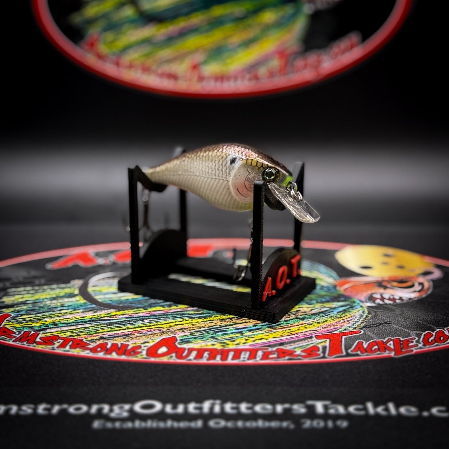 American Shad 1.5