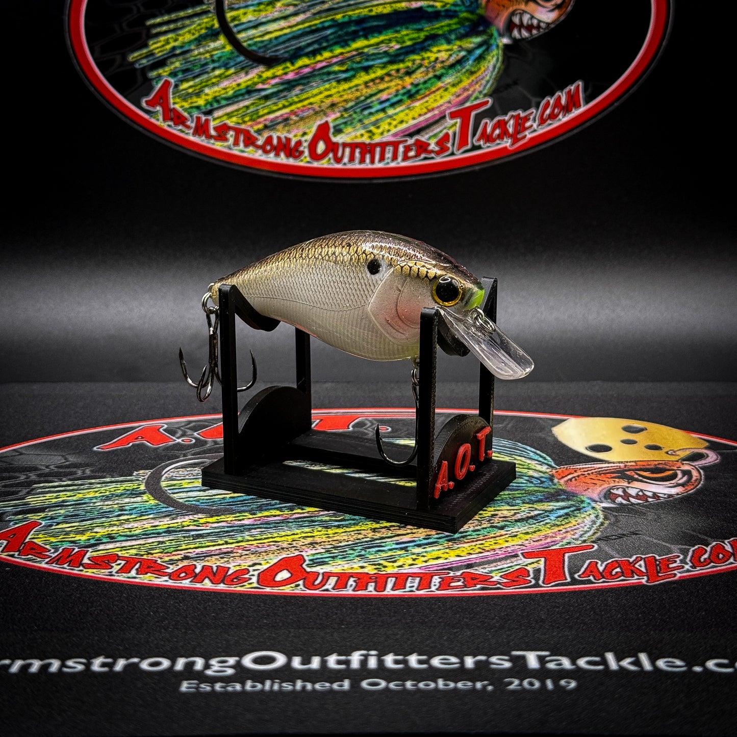 American Shad 2.5